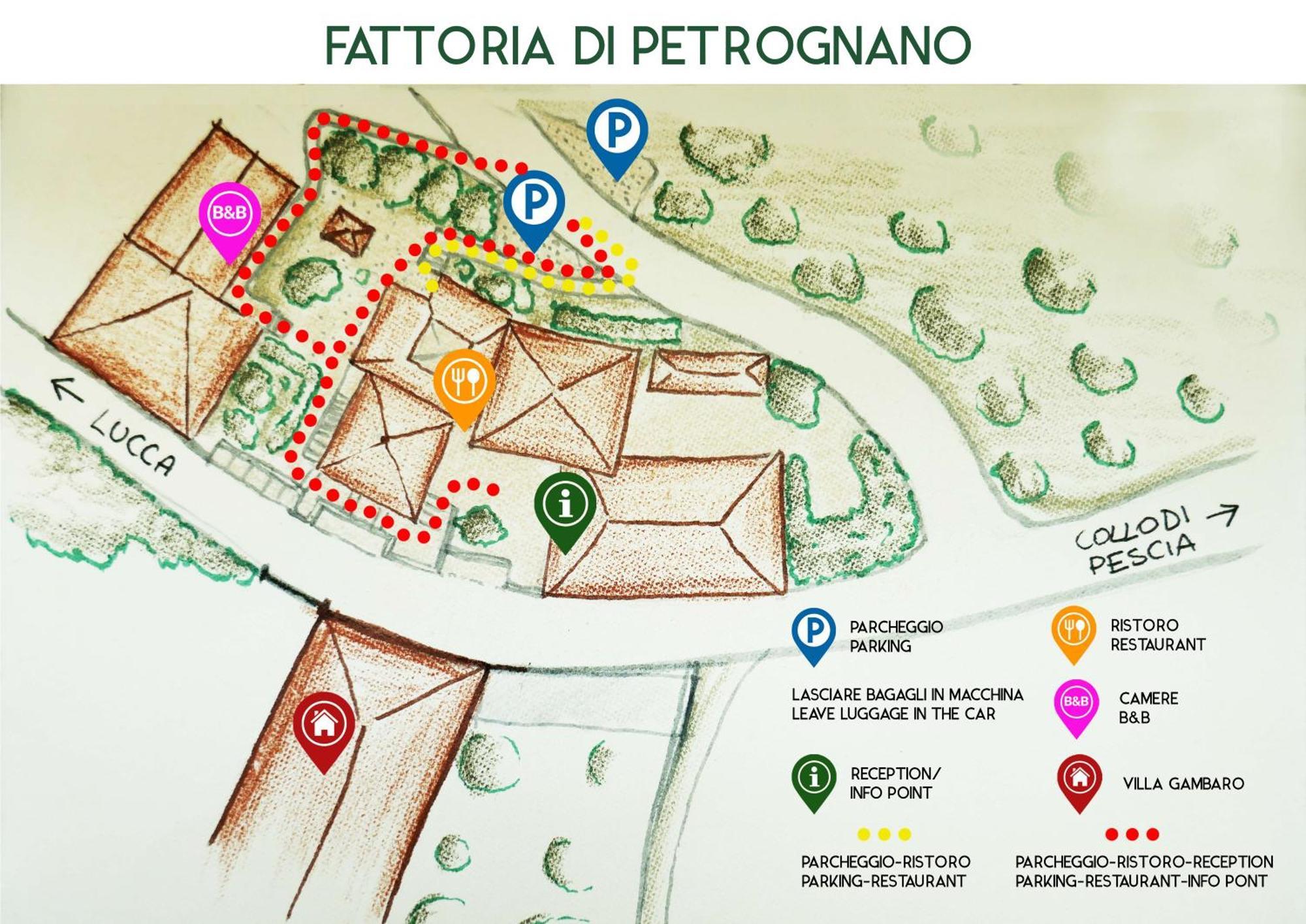 コッローディ Fattoria Gambaro Di Petrognanoヴィラ エクステリア 写真