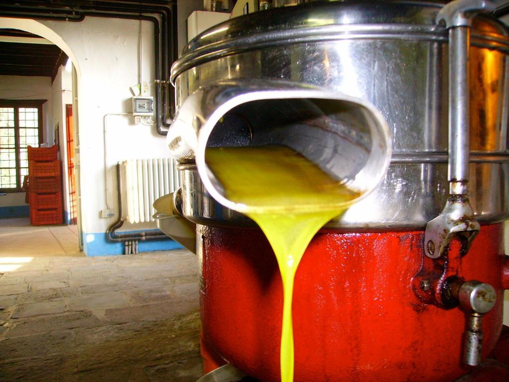 コッローディ Fattoria Gambaro Di Petrognanoヴィラ エクステリア 写真